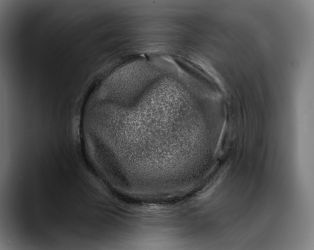 X0000089700585200707121355