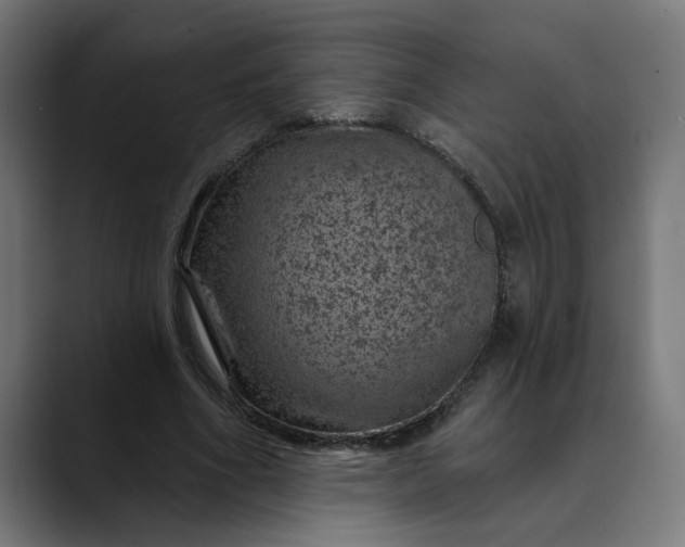 X0000089700586200707121355