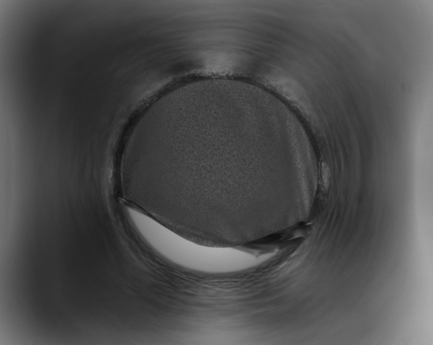 X0000089700588200707121355