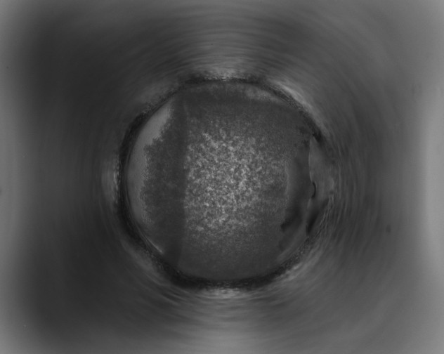 X0000089700590200707121355