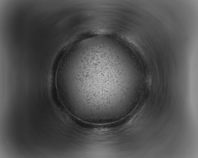 X0000089700591200707121355