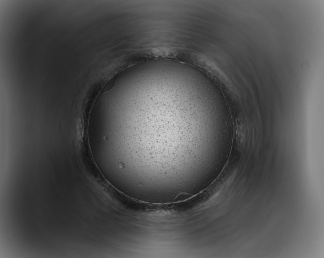 X0000089700593200707121355