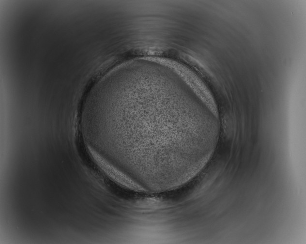 X0000089700594200707121355