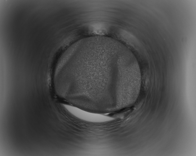 X0000089700595200707121355