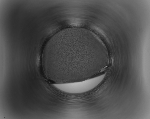 X0000089700596200707121355