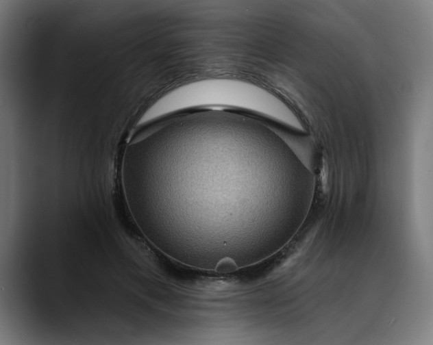 X0000089700597200707121355