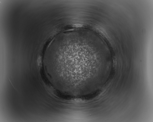 X0000089700598200707121355