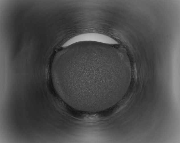 X0000089700599200707121355