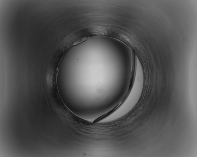 X0000089700600200707121355