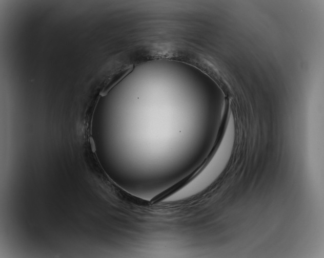 X0000089700601200707121355