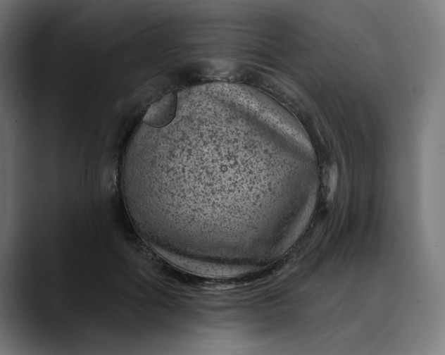 X0000089700602200707121355