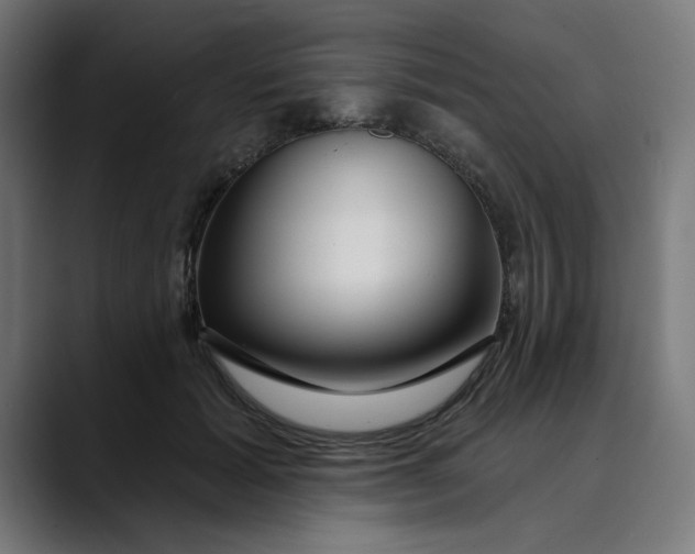 X0000089700605200707121355