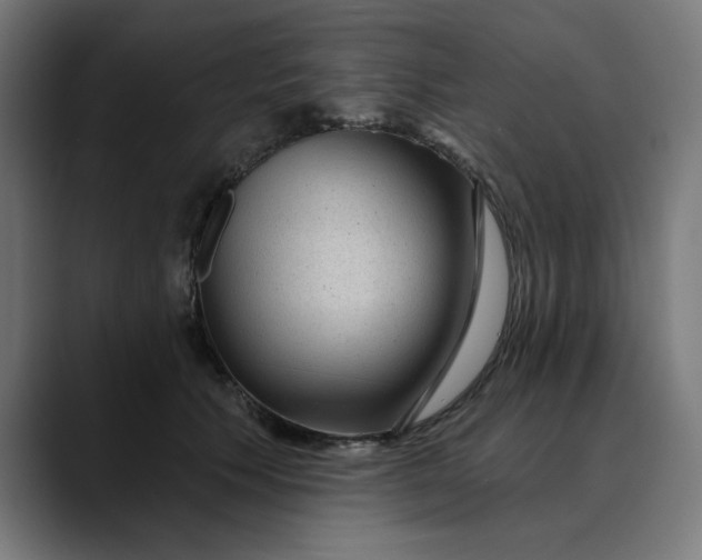 X0000089700609200707121355