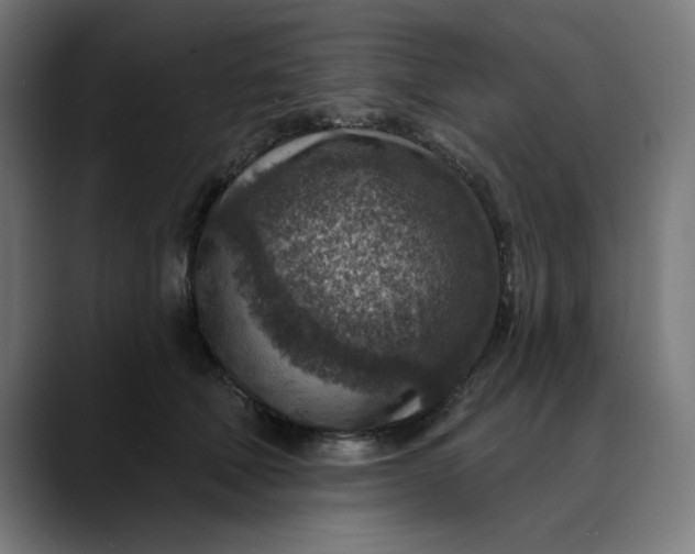 X0000089700610200707121355