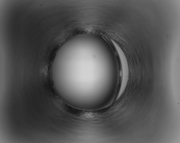 X0000089700611200707121355