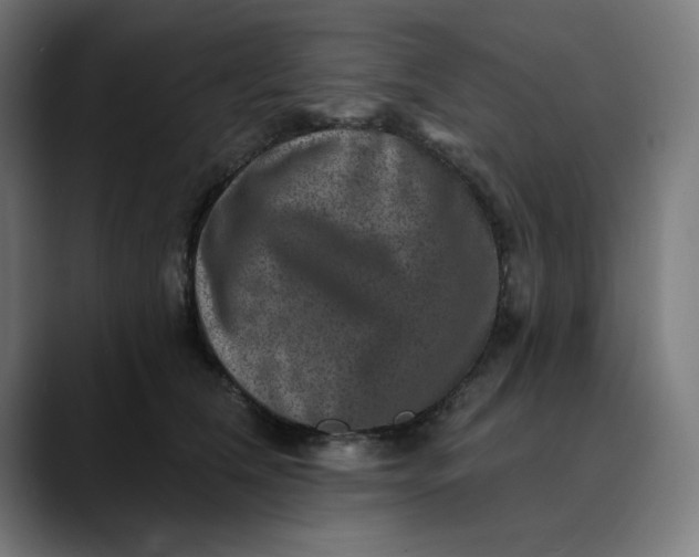 X0000089700612200707121355