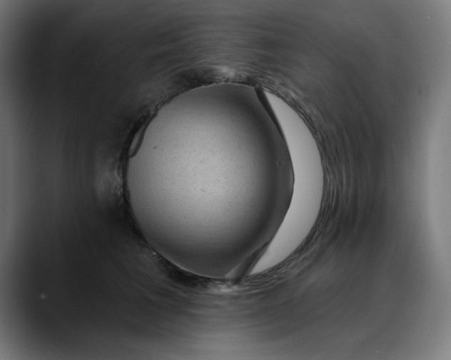 X0000089700613200707121355