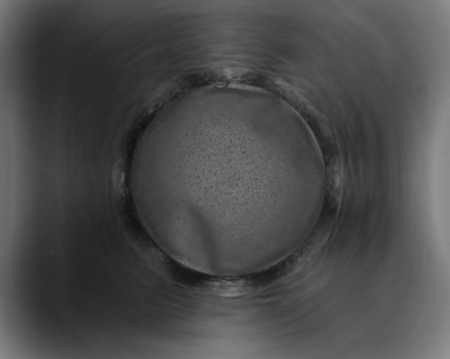 X0000089700615200707121355