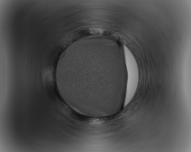 X0000089700616200707121355