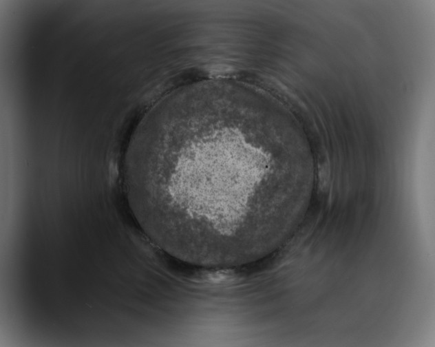 X0000089700618200707121355