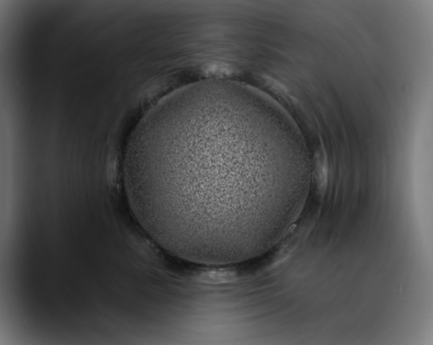 X0000089700619200707121355