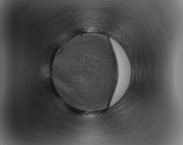 X0000089700620200707121355