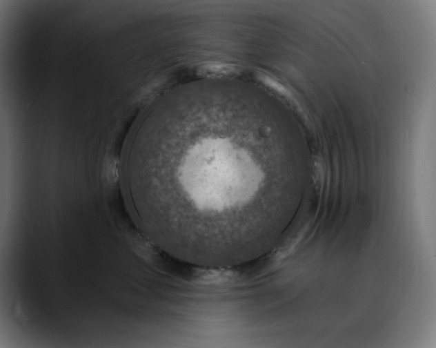 X0000089700621200707121355