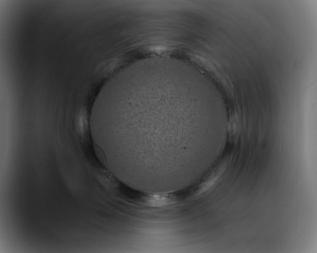 X0000089700623200707121355