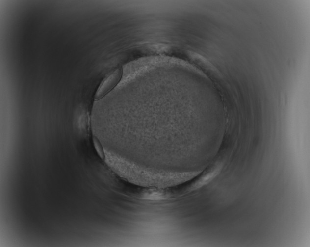 X0000089700624200707121355