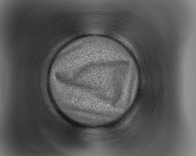 X0000089700625200707121354