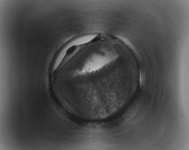 X0000089700627200707121354