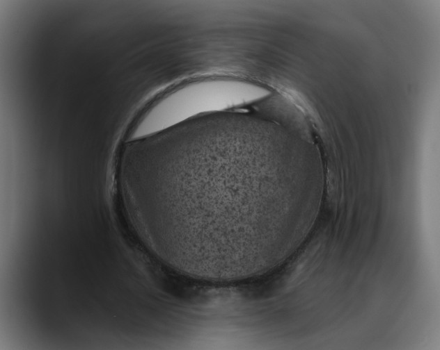 X0000089700628200707121354