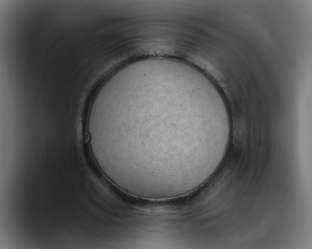 X0000089700629200707121354