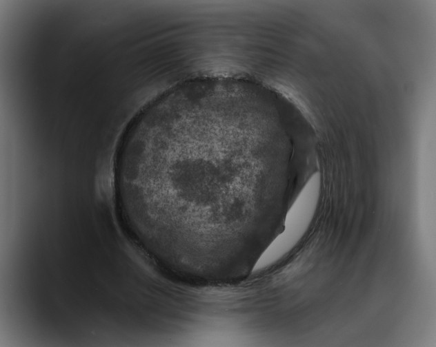 X0000089700630200707121354