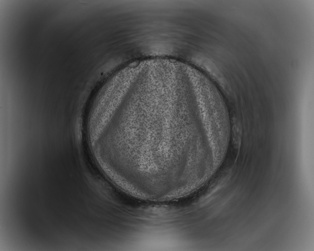 X0000089700631200707121354