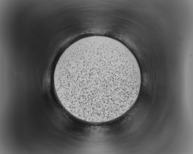 X0000089700632200707121354