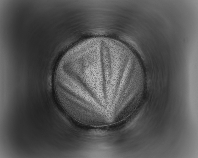 X0000089700633200707121354