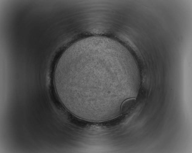 X0000089700635200707121354