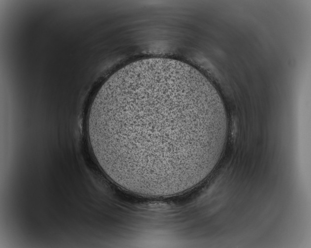 X0000089700636200707121354