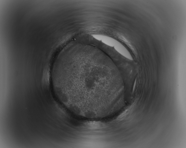 X0000089700637200707121354