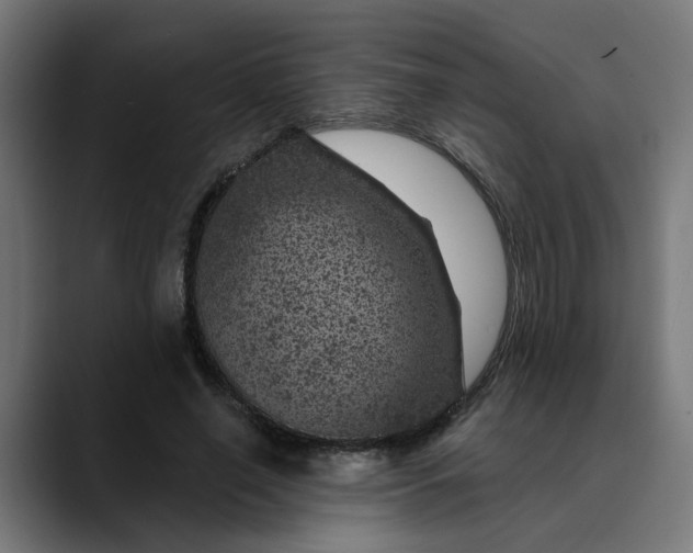 X0000089700638200707121355