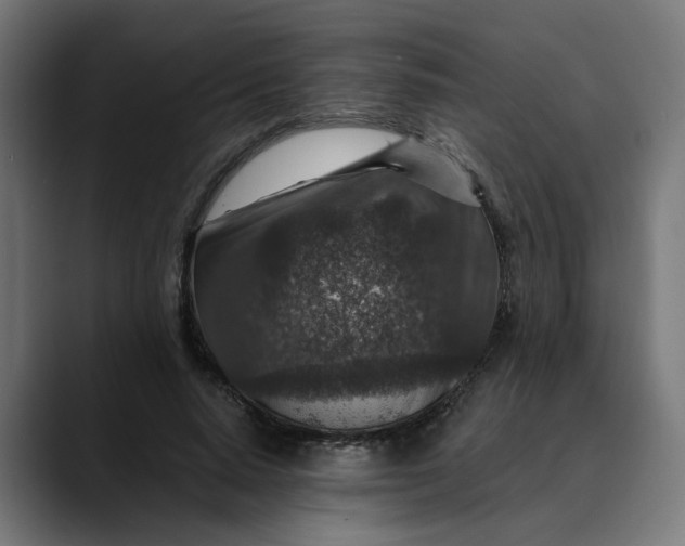 X0000089700640200707121355