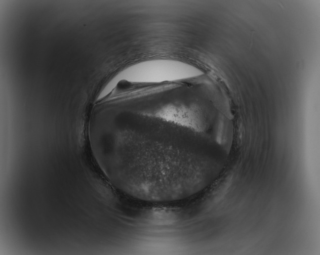 X0000089700641200707121355