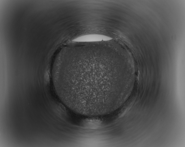 X0000089700644200707121355