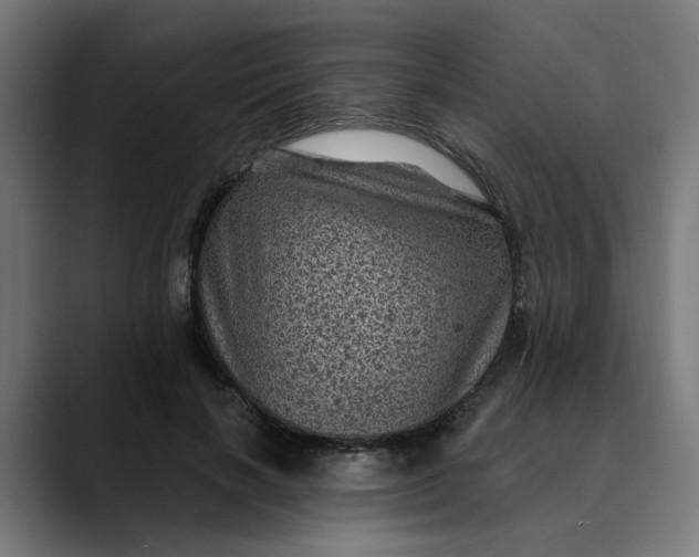 X0000089700646200707121355