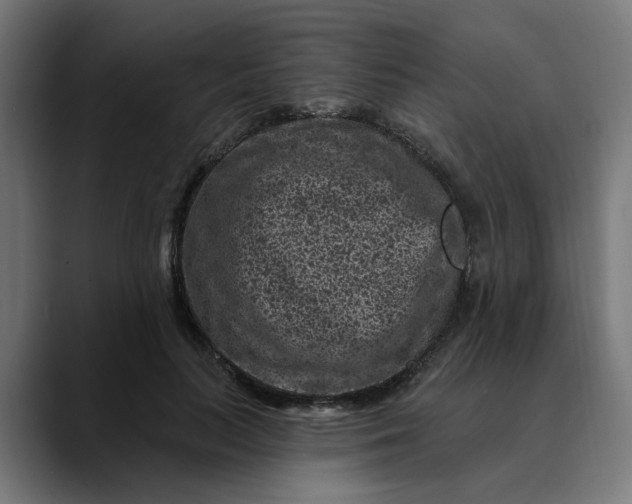 X0000089700647200707121355