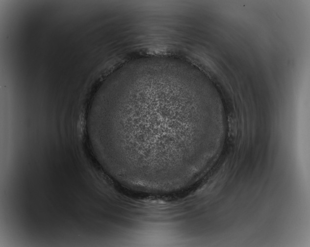 X0000089700648200707121355