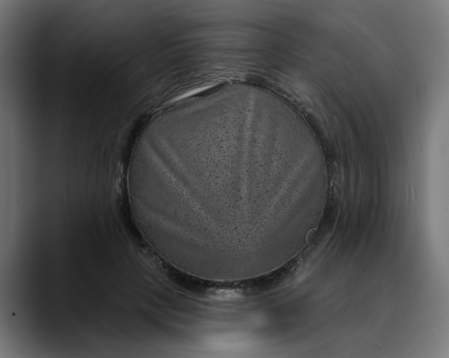 X0000089700649200707121355