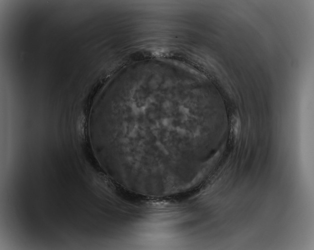 X0000089700650200707121355