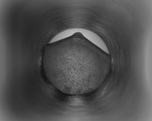 X0000089700652200707121355